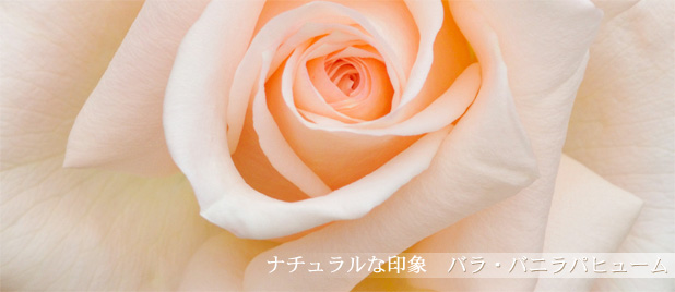 イメージで選ぶ 花の写真 アダージョフラワーズギャラリー
